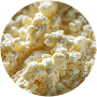 Probiotic Blend