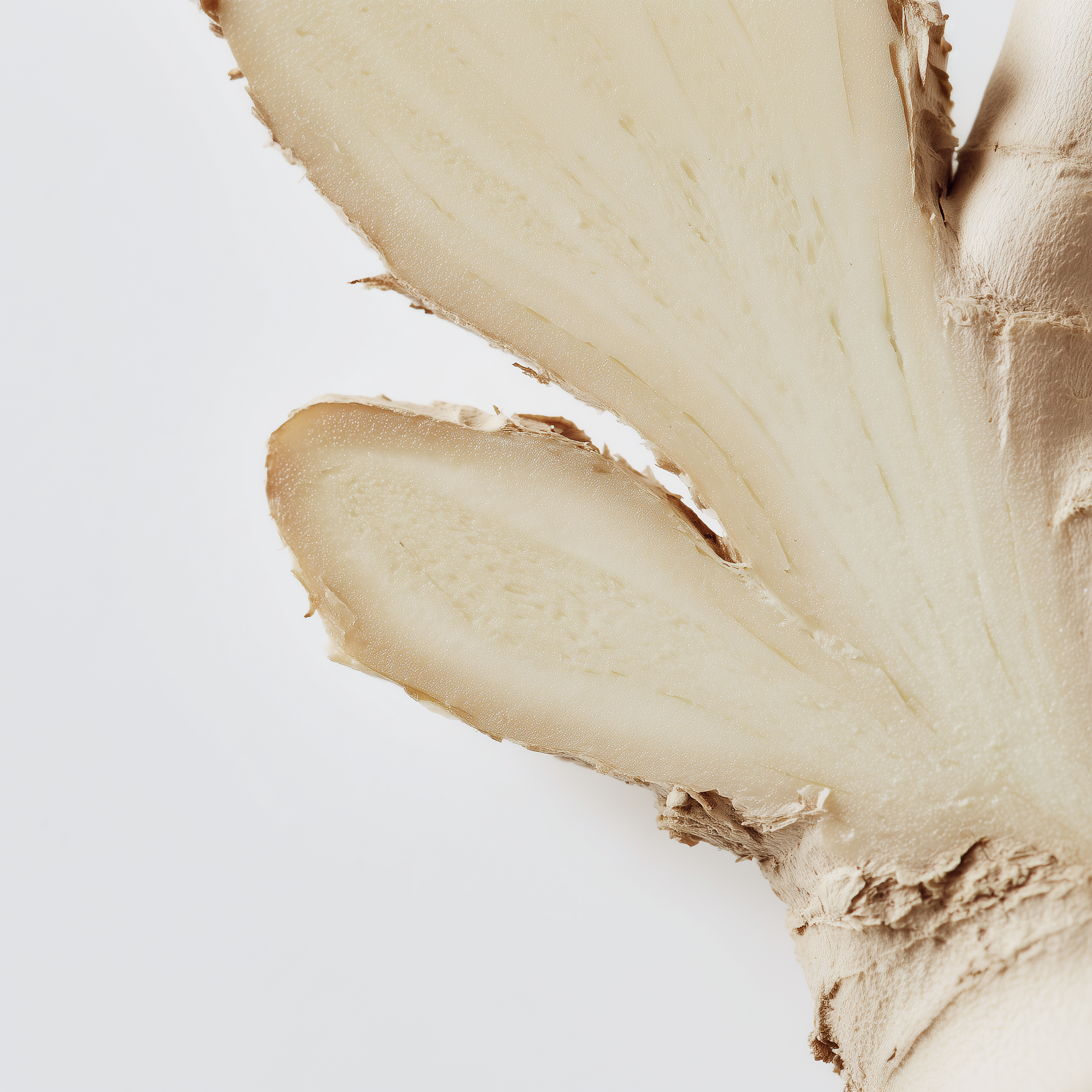 Organic Ginger Root